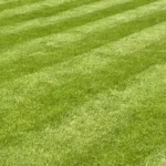 High-Quality Artificial Grass in Nigeria?