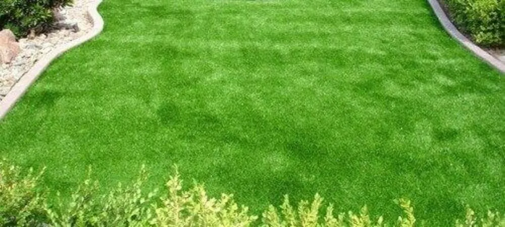 pros of artificial grass