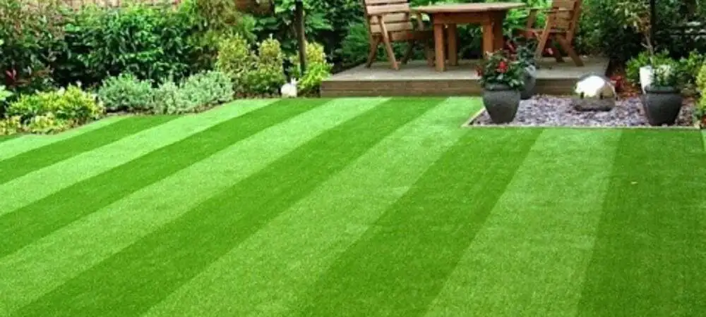 artificial grass carpet maintenance